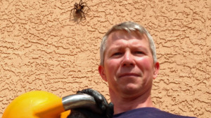 A tarantula intrigued by my kettlebell training 