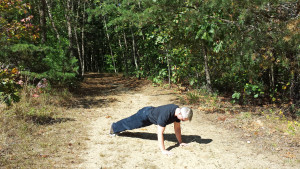 seven stars fitness mark mellohusky walkout pushup