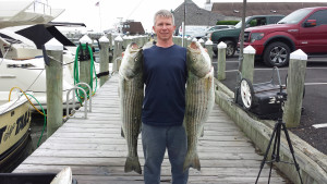 mark mellohusky how to catch striped bass eat wild fish seven stars fitness