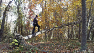 Get outside and put your body through its paces!