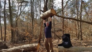 mark mellohusky seven stars fitness overhead press how to stay fit