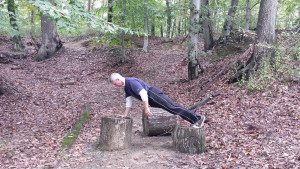 mark mellohusky plank exercise variations seven stars fitness outdoor workout