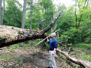 mark mellohusky northeast hiking fallen tree outdoor exercise seven stars positive change