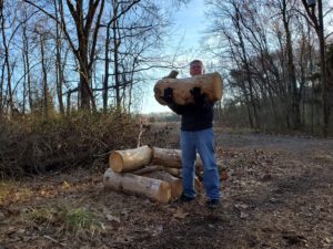 mark mellohusky outdoor training log squats seven stars