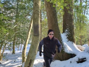 mark mellohusky training program winter trail running seven stars