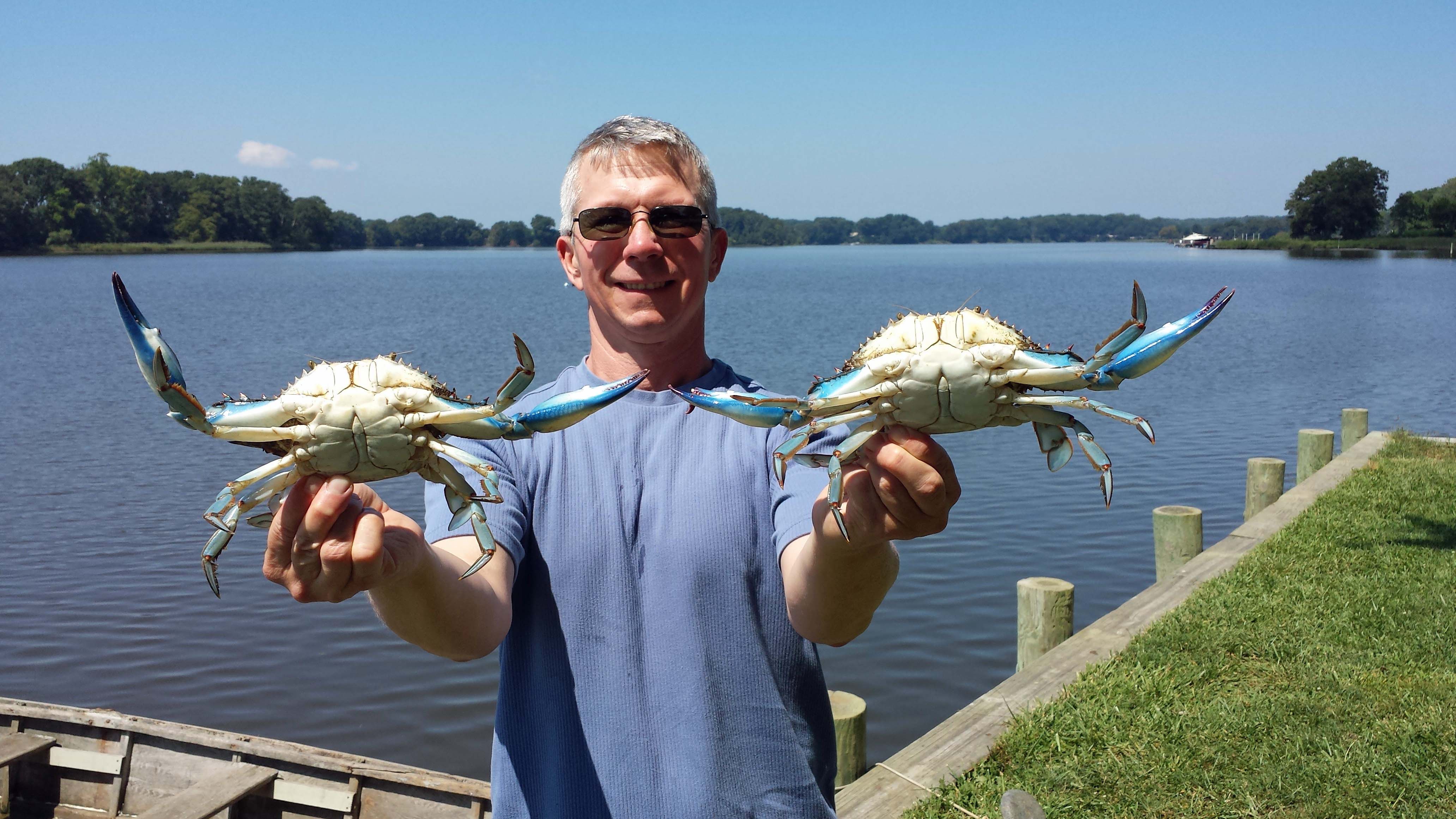 mark mellohusky how to catch blue claw crabs seven stars fitness